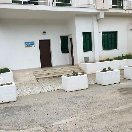 B&B Aliga-2
