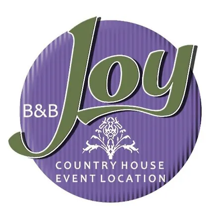 B&B Joy-3