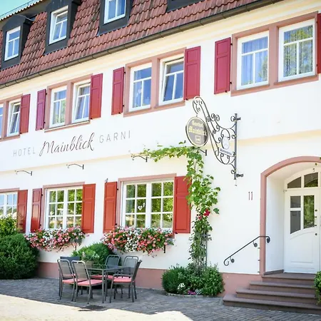 Hotel Mainblick Garni-3