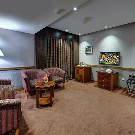 Delmon Palace Hotel-2
