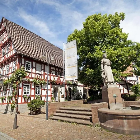 Hotel Hirsch-3