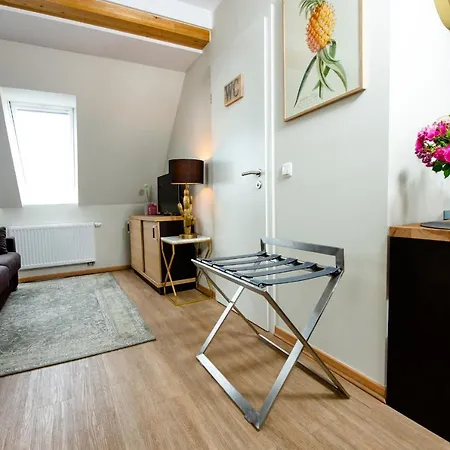 Design Apartments - Im Holländerviertel-2