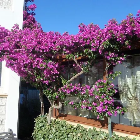 B&B La Posada Stintino-2