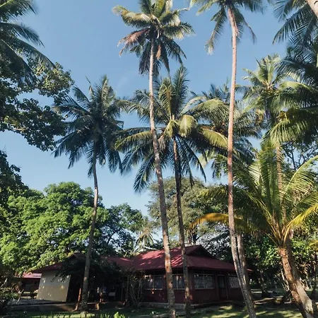 Oyo 1688 Collin Beach Hotel-3