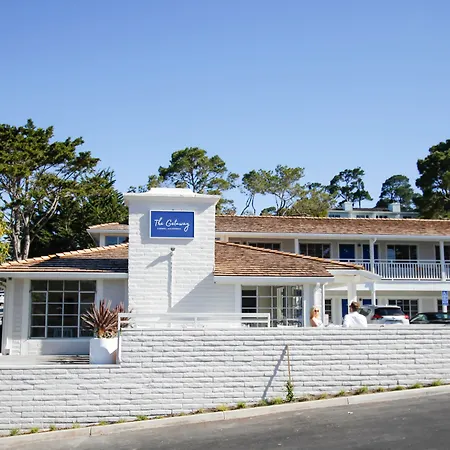 Le Petit Pali At Ocean Ave-3