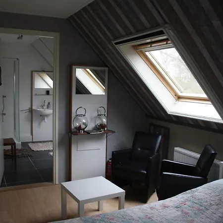 Alddiel B&B-3