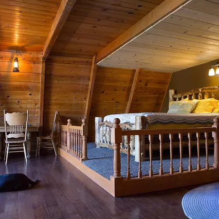 Hicksville Pines Chalets & Motel-3