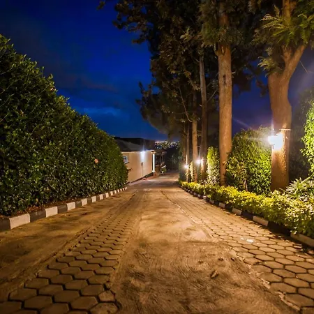Anthurium Residential Hotel-3