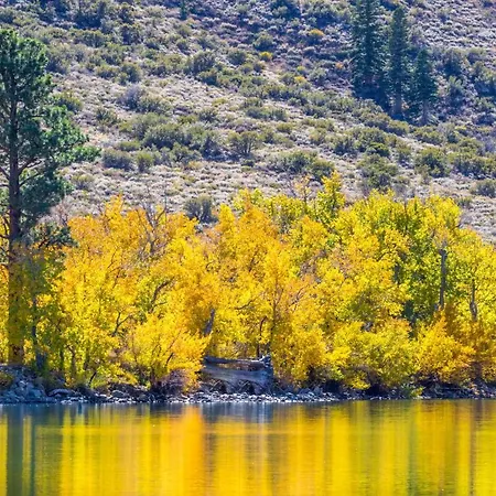 June Lake Motel-3