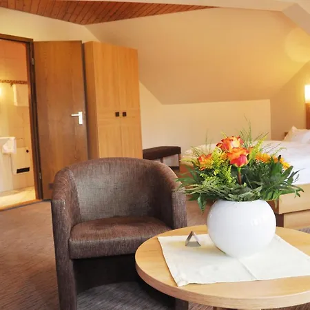 Hotel Fortuna-3