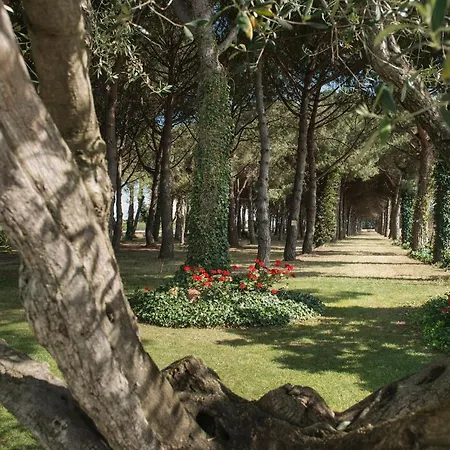 Hotel El Molí-2