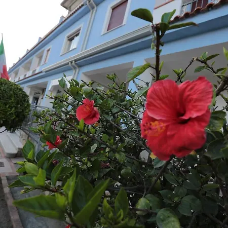 Hotel Sea Breeze-3