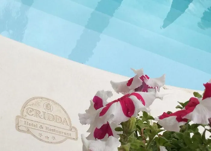 Cridda Hotel & Restaurant Gizzeria