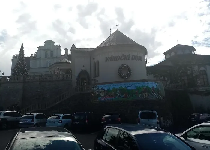 Vila Anton Karlsbad