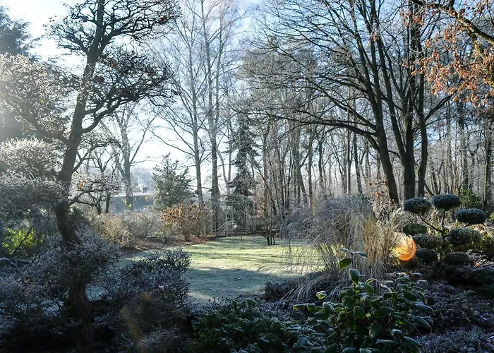 Sonnenhotel Amtsheide Bad Bevensen