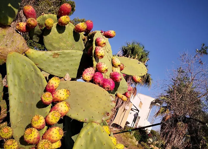 B&B Villa Gallipoli