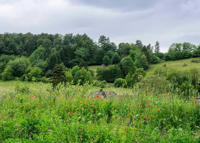 The Conscious Farmer Bed&Breakfast Sauerland Willingen 