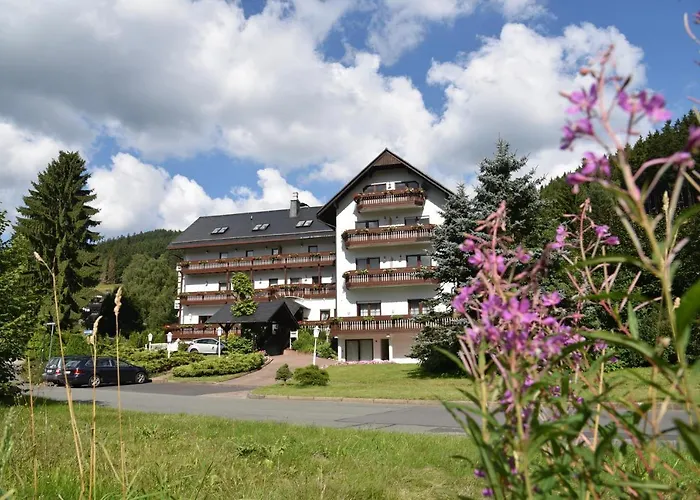 Hotel Thüringer Wald Ilmenau
