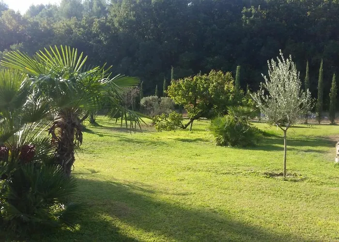 Bed and Breakfast Provence à Carpentras