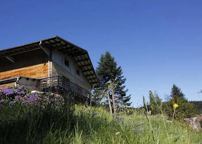 Bed and Breakfast Le chalet de Valentine à Ventron