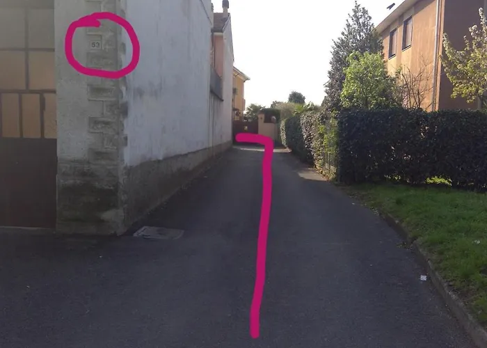 B&B Magenta