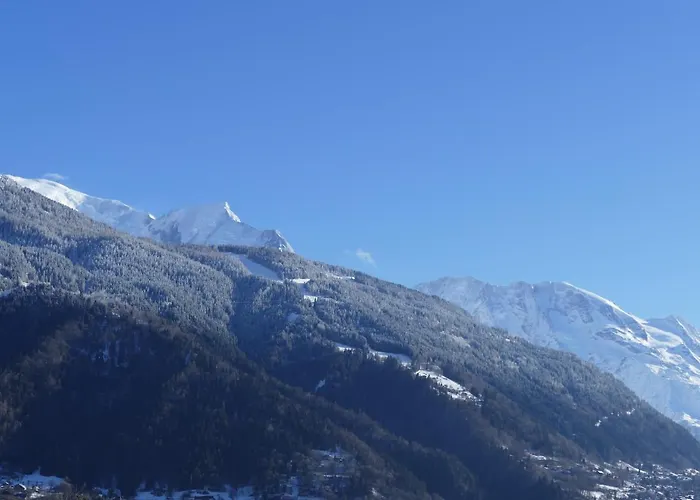 Chalet coup de coeur Passy 