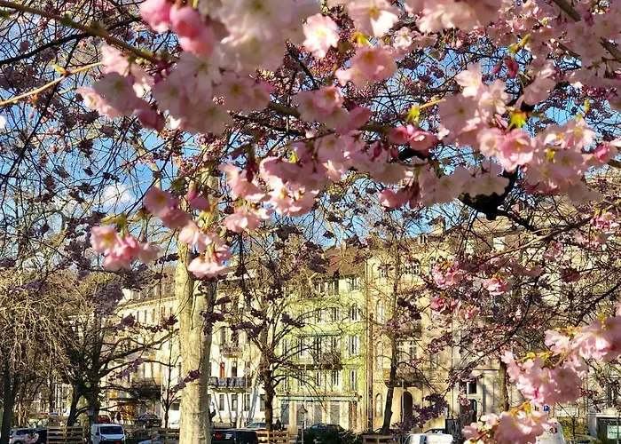 Reichel-Appartements Baden-Baden