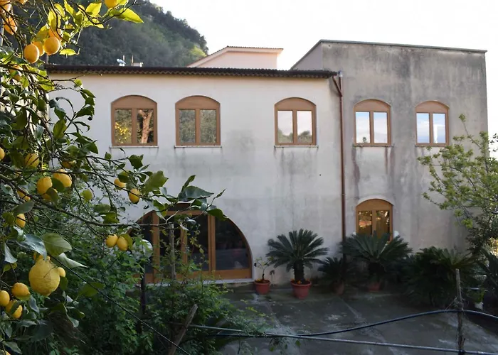 Mariahome Sorrento