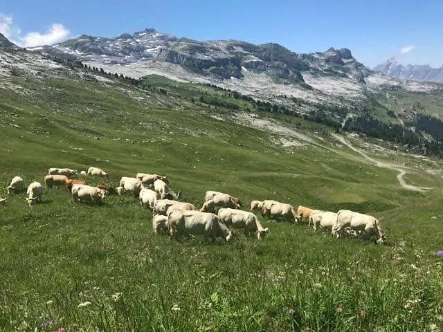 Hotels in Flaine