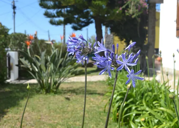 Meraki Guesthouse