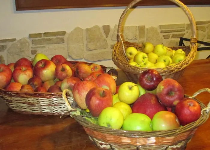 Bed and Breakfast Il rifugio nel parco Villetta Barrea