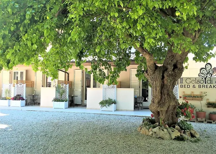 Il Gelso di Sofia B&B Tortoreto