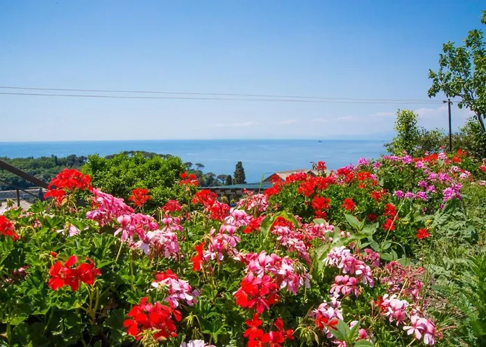 Le Clementine B&B Camogli