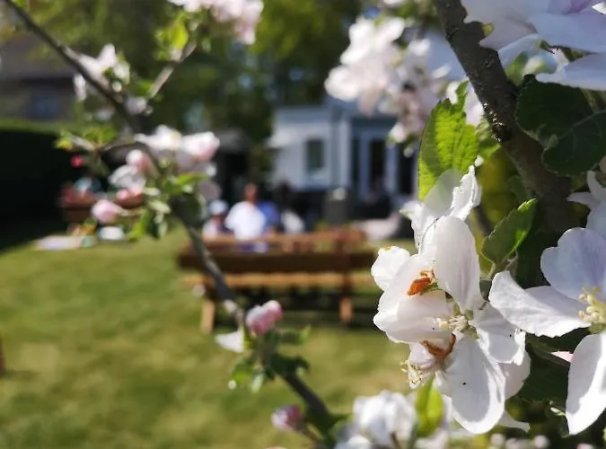 B&B De Koffietuin Beekbergen