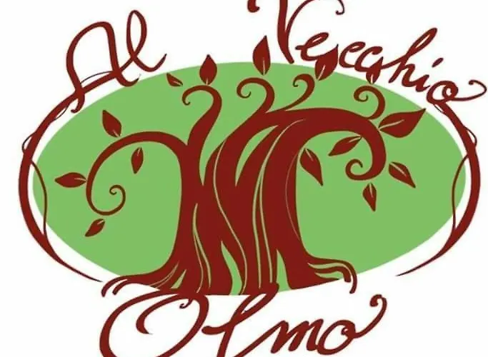 B&B Al Vecchio Olmo Sirolo