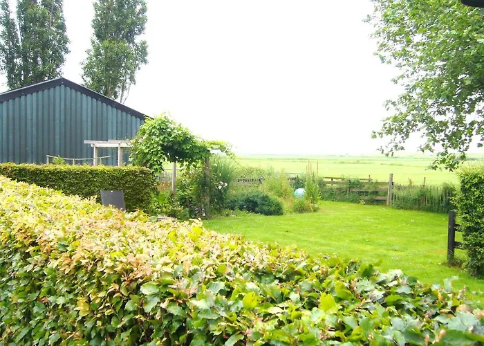 de Stjelp Pleats