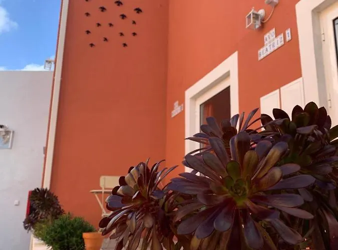 Vila Dos Avos