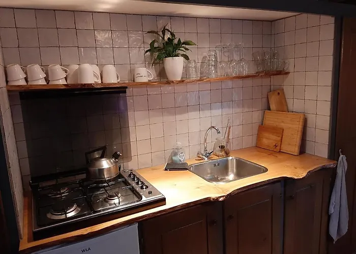 De Boshut Vledder Hotel