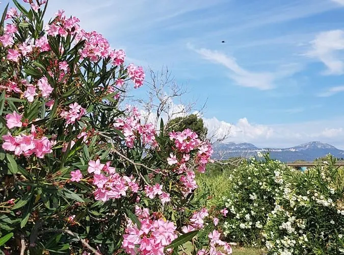Mediterranee Room Villa Blanca Cambrils