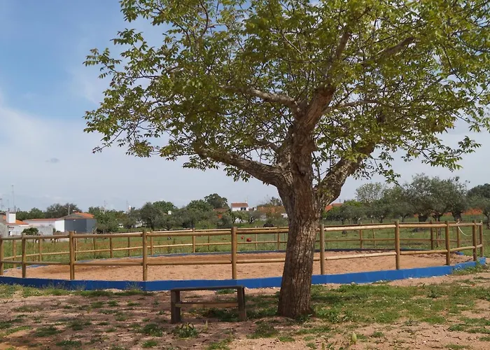 Tapada Do Chafariz Acomodação com café da manhã Estremoz