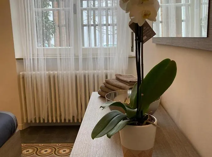 Angolo di isa Busto Arsizio