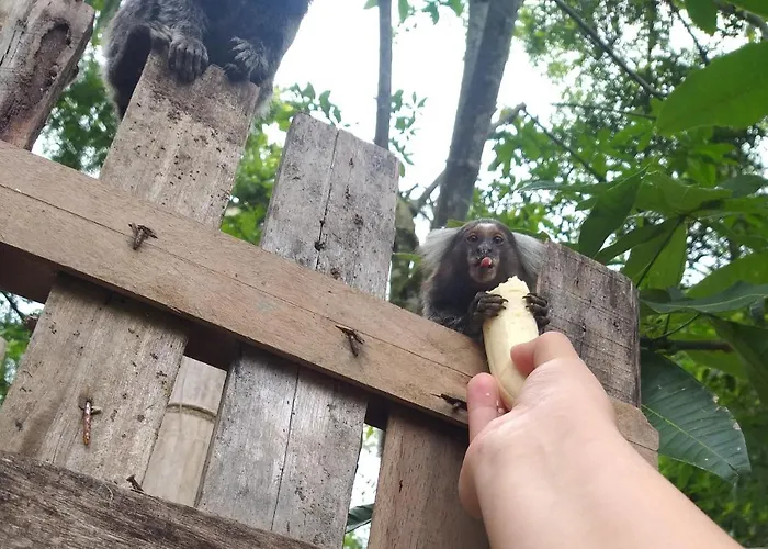 Pousada Recanto Do Sagui Morretes