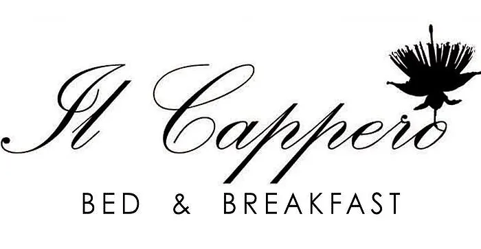 Bed&Breakfast Il Cappero Rapolano Terme