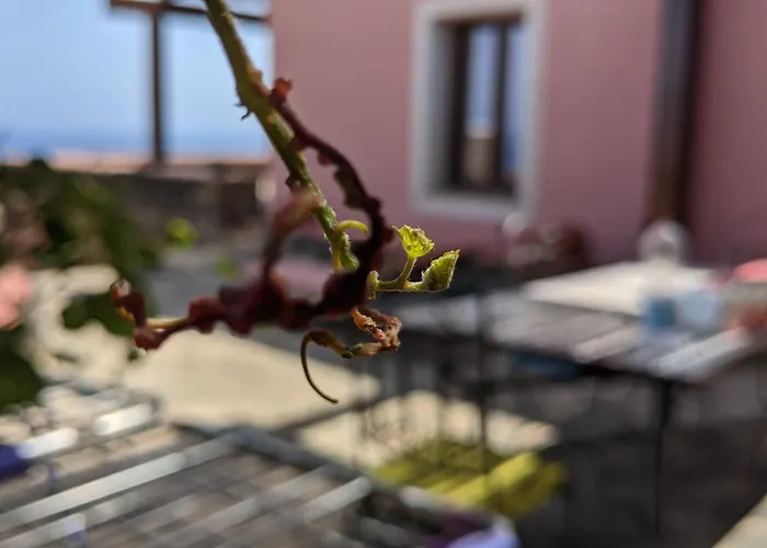 Bed and Breakfast Horizon Pantelleria Campobello