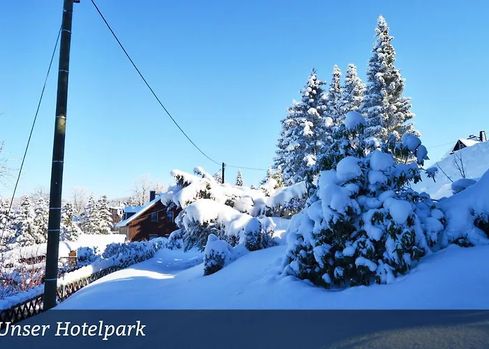 Hotels in Altenberg (Erzgebirge)