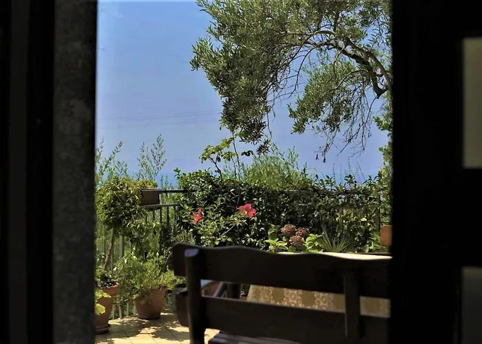 B&B dei Fiori Praia a Mare