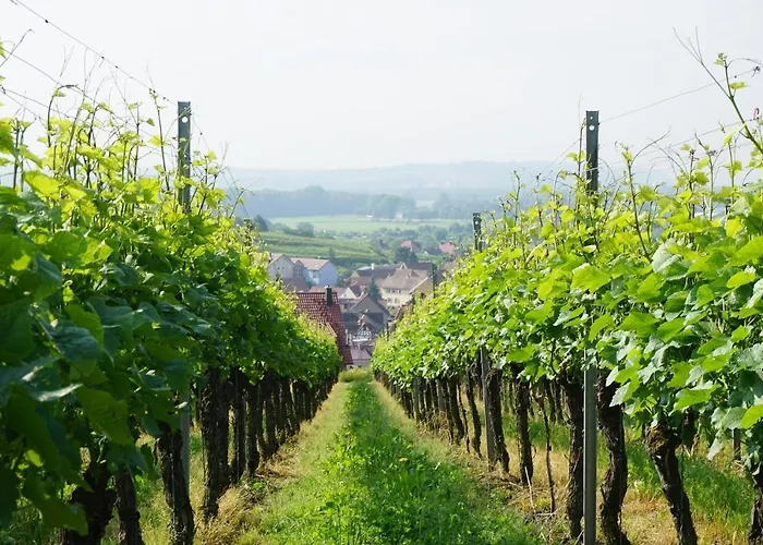 Hotel Engel Endingen am Kaiserstuhl