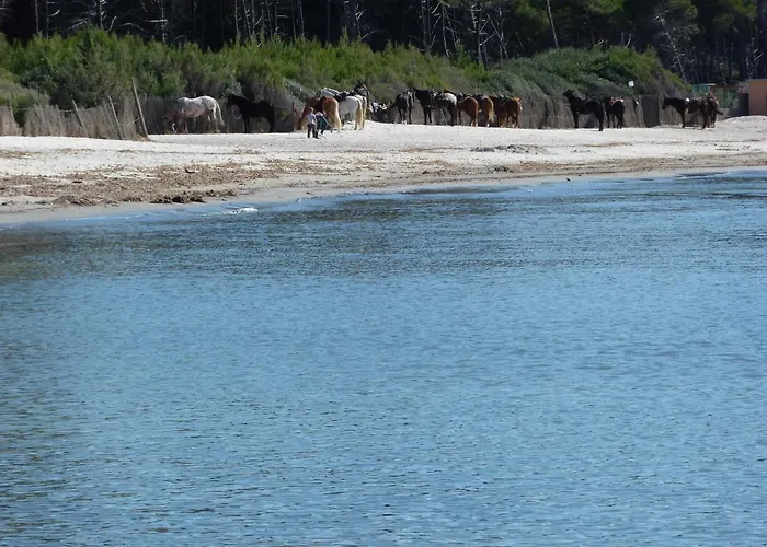 Affittacamere a due passi dal mare Marina di Cecina