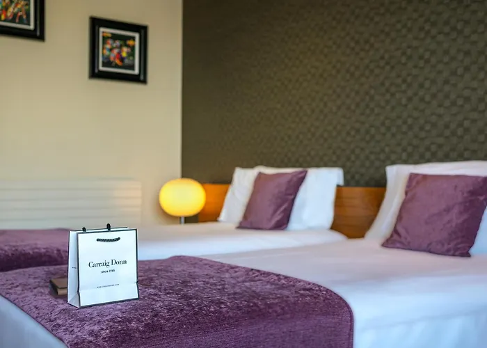 D Hotel
