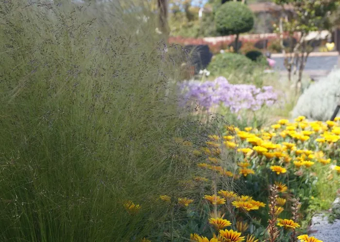 Les Jardins De Santa Giulia - Charmante chambre dhte Porto-Vecchio 